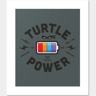 Turtle Power Posters and Art